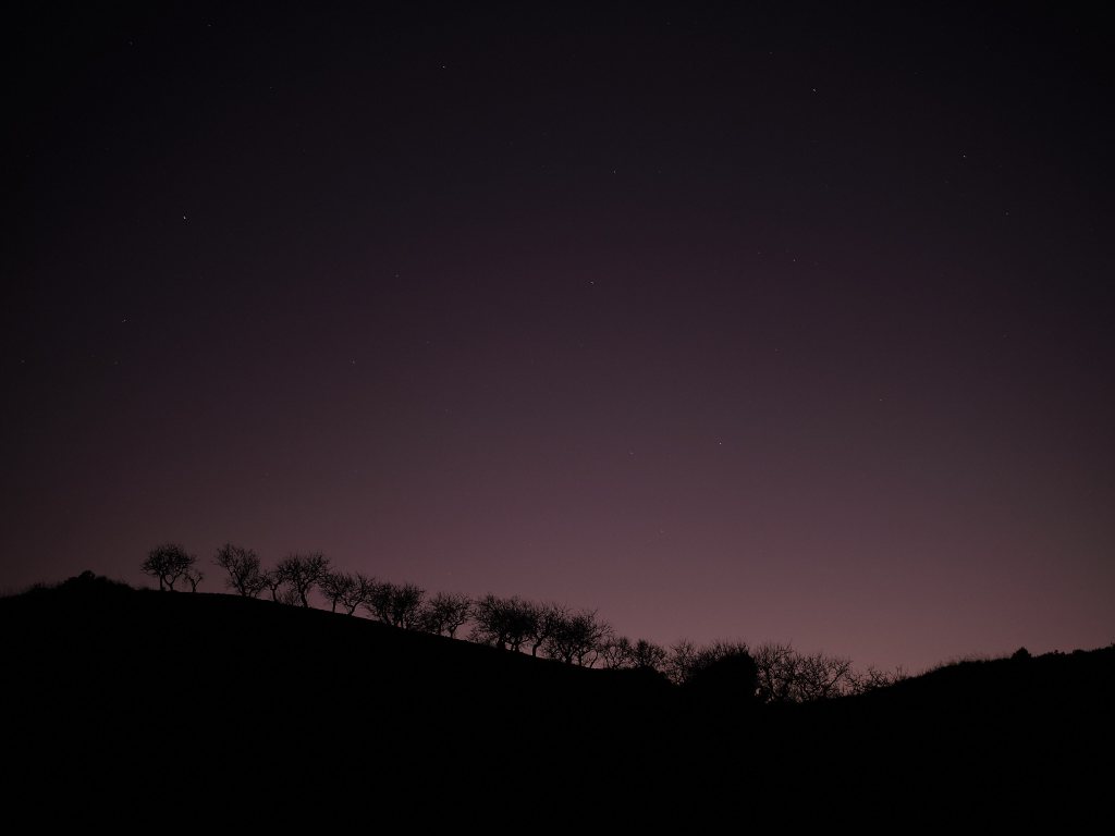 Van t-shirtje tot&nbsp;donsjas