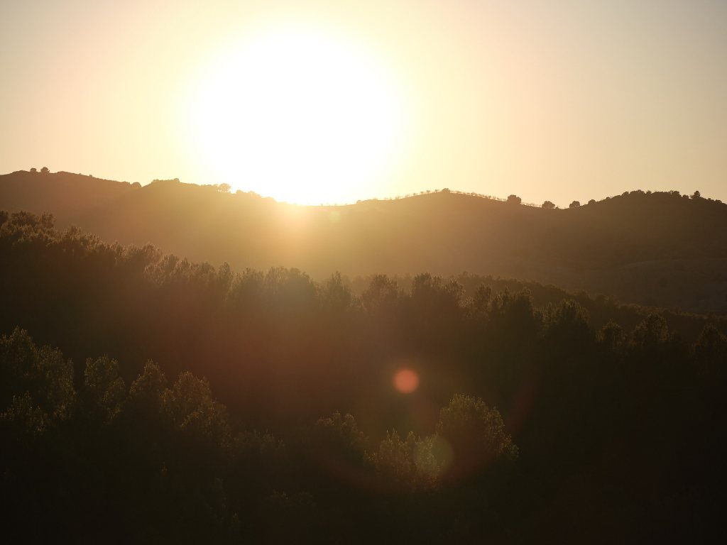 Over loempia’s en&nbsp;honden