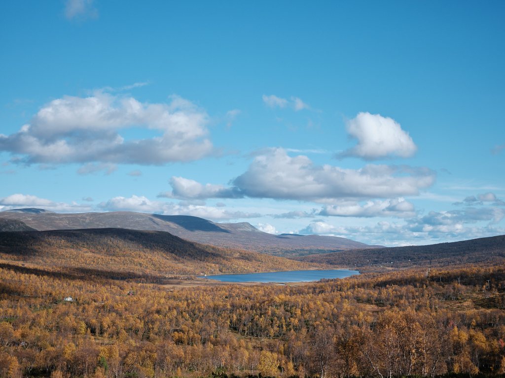 In Jämtlandsfjällen