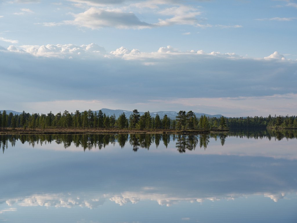 In het altijd mooie&nbsp;Rogen